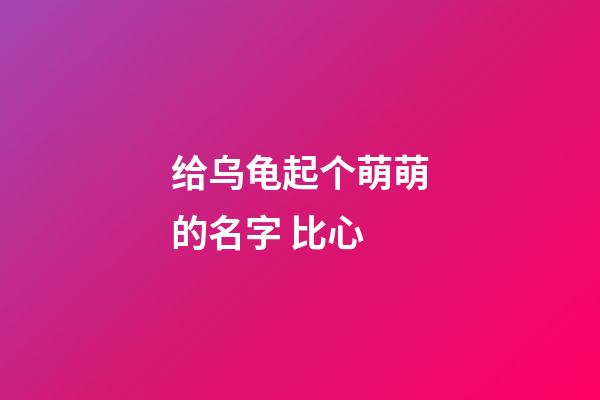 给乌龟起个萌萌的名字 比心